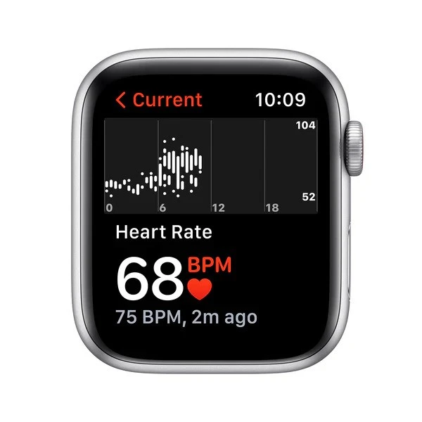 Used Apple Watch SE (1st Generation)