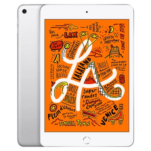 Used iPad mini 5th
